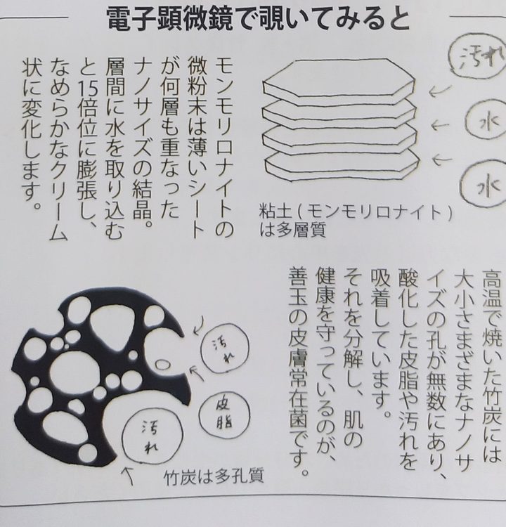 モンモリロナイト,,竹炭の拡大断面